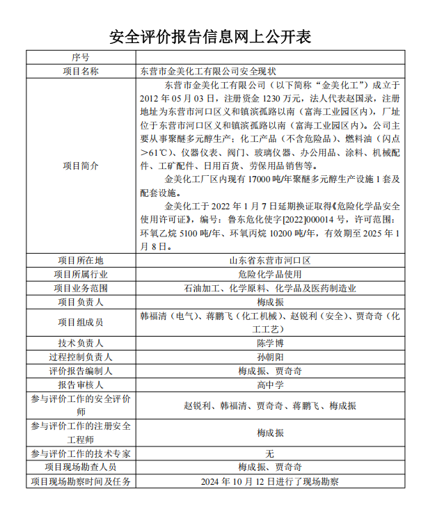 东营市金美化工有限公司安全现状